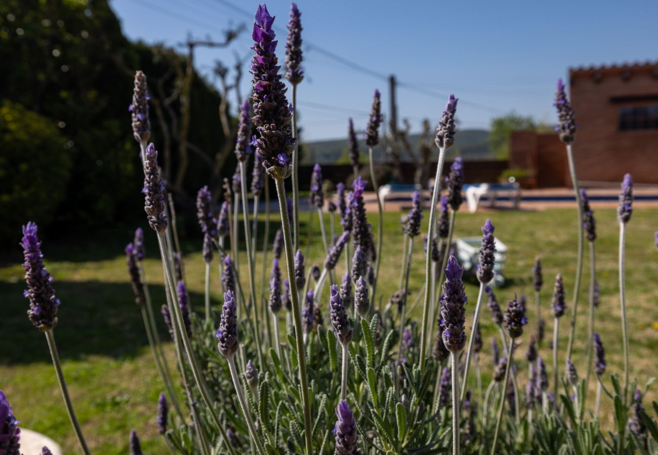 House in Albons - Casa Alba